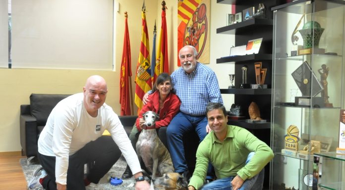 Colaboración con Espolones