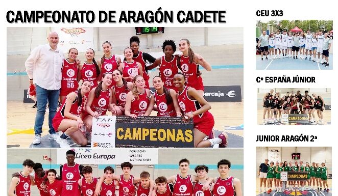 Revista BASKETFAB 29/04/26